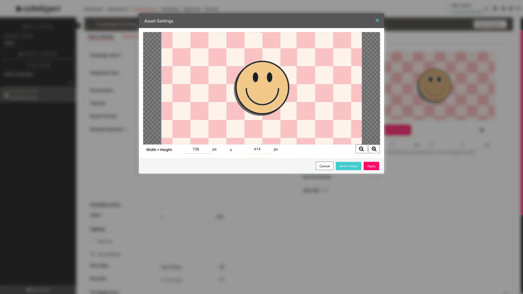 Automatic & Custom Banner Size Field for Direct Display Campaigns  - 2